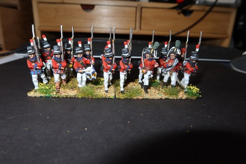 Perry 28mm pro painted - 28mm, pro-painted