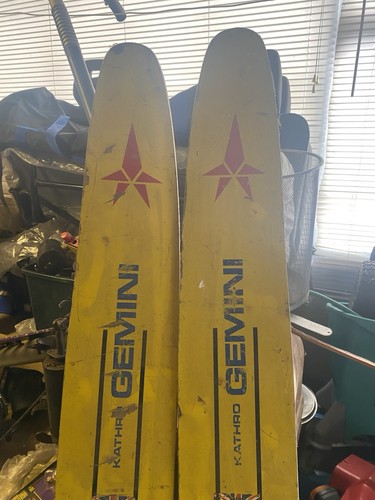 Vintage gemini kathro water - kathro,