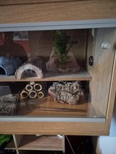 Vivarium Reptile XL 4ft Long