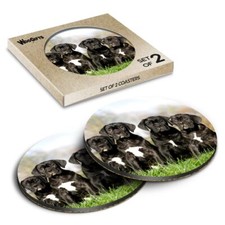 Round MDF Coaster Cane Corso