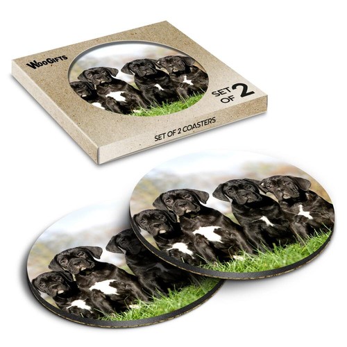 Round mdf coaster cane corso - mdf,