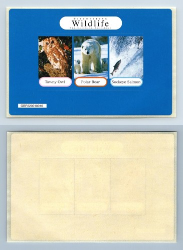 Discovering wildlife the - discovering,