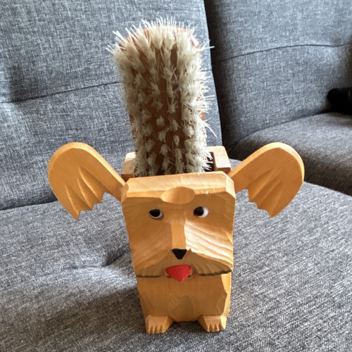 Vintage clothes brush used - clothes, brush,