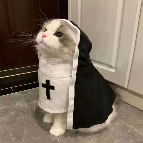 Pet halloween costumes nun - costumes,