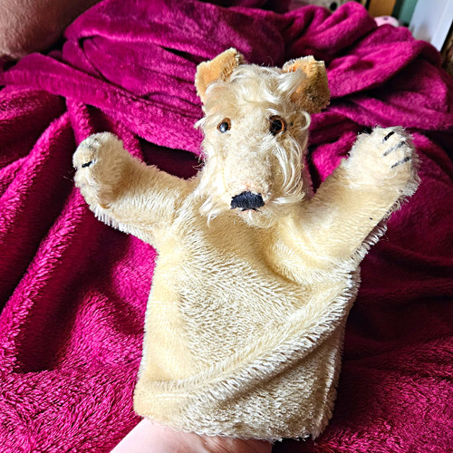 Steiff hand puppet dog - steiff,