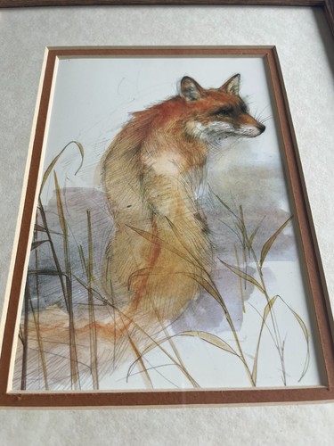 Set framed wildlife - of,