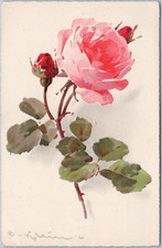 Catherine Klein VTG Postcard