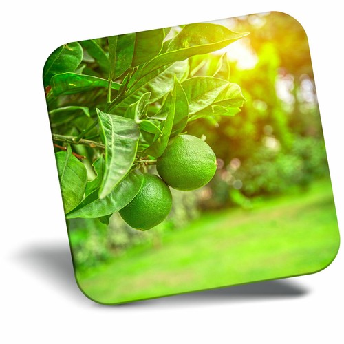 Awesome fridge magnet citrus - fridge,