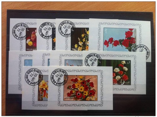 Sharjah series blocks - sharjah,