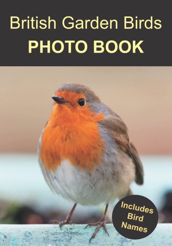British garden birds photo - birds,
