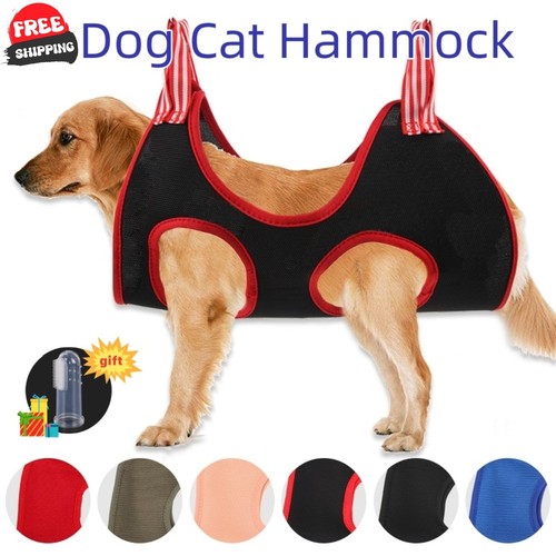 Dog grooming hammock - grooming, cat