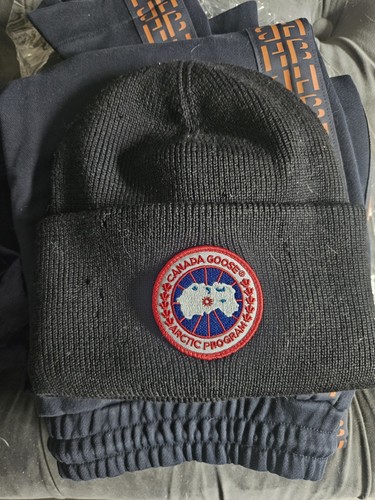 Canada goose arctic - canada, disc