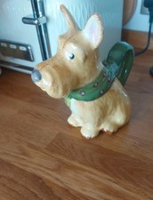Stunning Dog (Terrier/scottie