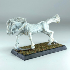 Fantasy Cavalry Horse - The