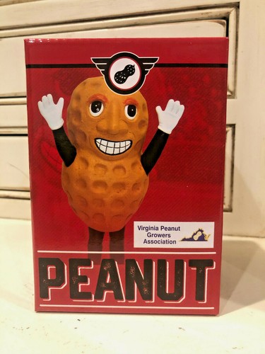 Peanut racing mascot 2021 - mascot,