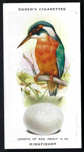 Ogdens british birds - ogdens, &
