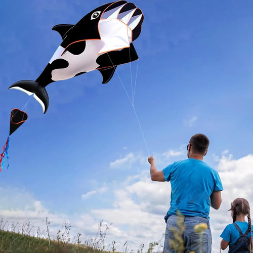 Kite large whale dolphin - 3d,