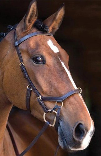 Rambo miklem bridle brown - ,