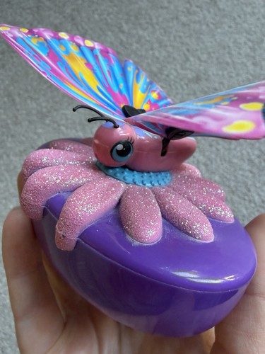 Little live pet butterfly - pet,