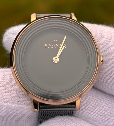 Skagen ditte skw2277 30mm - skagen,
