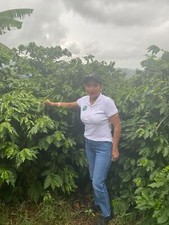 BALI BLUE MOON COFFEE BEANS