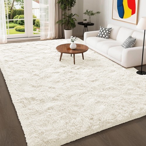 Fluffy rugs anti - anti, large