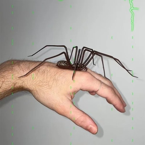 Realistic spider magnet for - realistic,