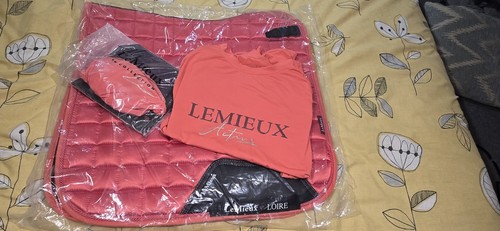 Lemieux dressage m loire - lemieux,