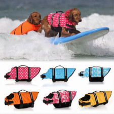Dog life jacket safety - dog,