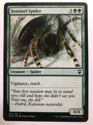 Sentinel spider commander - spider,