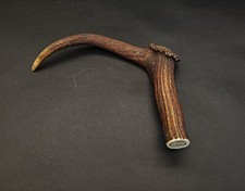 Beautiful Deer antler horn