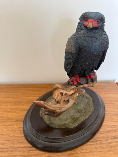 Feathers knysna bateleur - of,