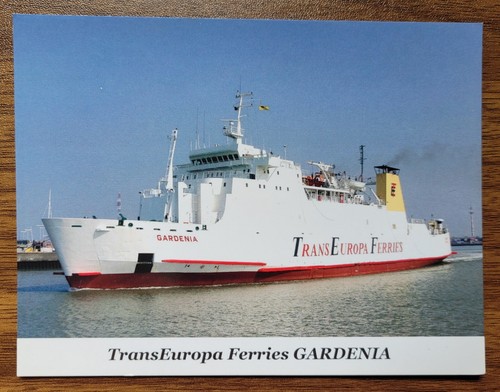 Gardenia trans europa - trans,