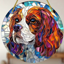 Cavalier King Charles Spaniel