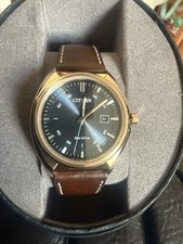 Citizen Eco Drive Mens Watch 