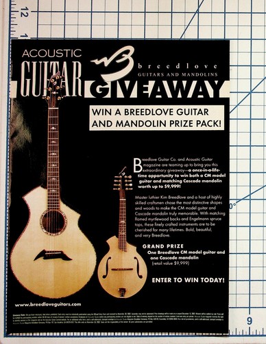 Breedlove acoustic guitar - breedlove,