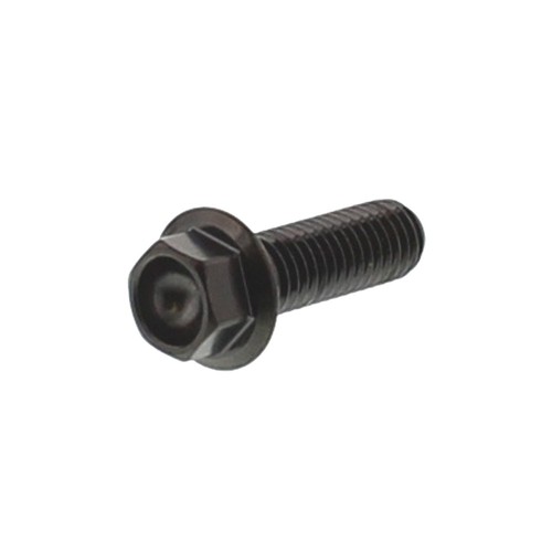 Jmp bolt hex - fits, aprilia