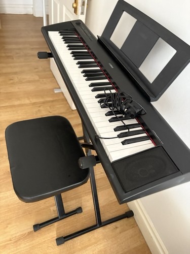 Casio electric piano - casio,