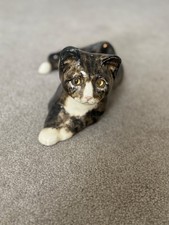 winstanley cat size 3, tabby