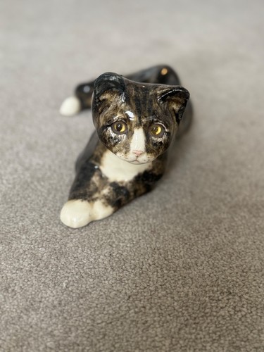 Winstanley cat size - winstanley,