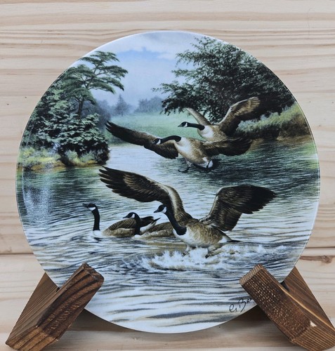 Royal worcester plate - royal,