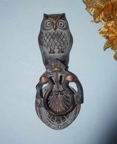 Nocturnal owl face door - nocturnal,