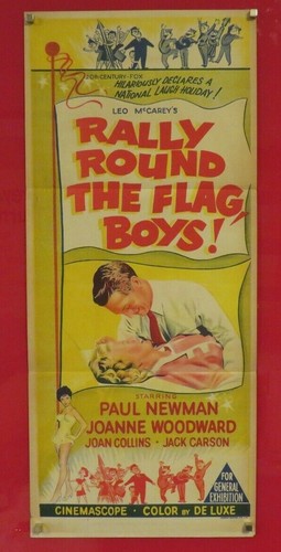Rally round the flag boys - flag,