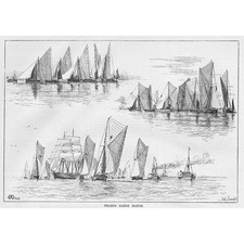 A Royal Thames Barge Match - Antique Print 1883