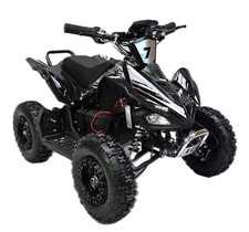 1000w Electric Quad Bike, Mini