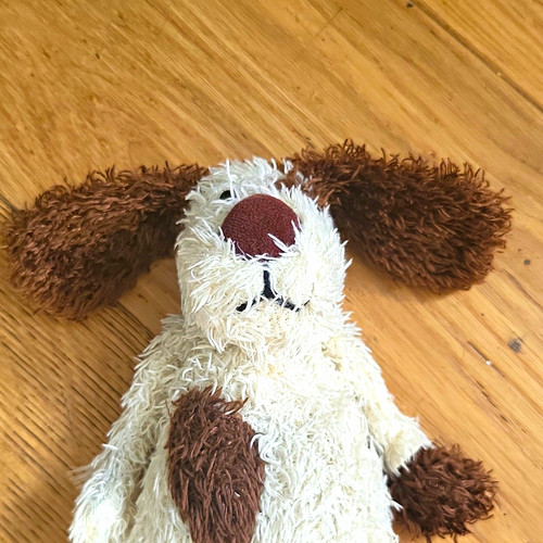 Retired jellycat dog plushie - retired,