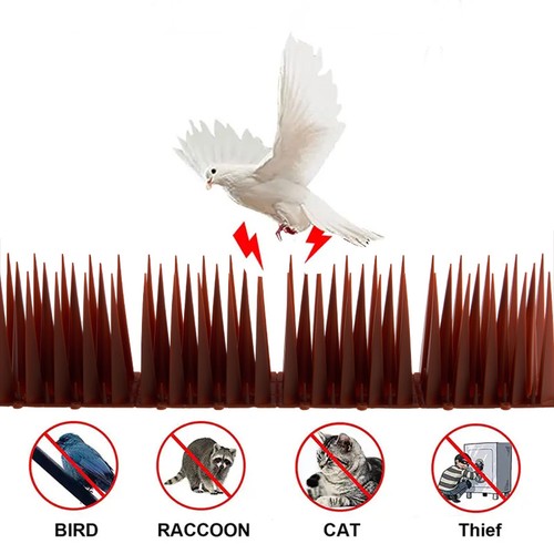 Flexible bird fence wall - bird,