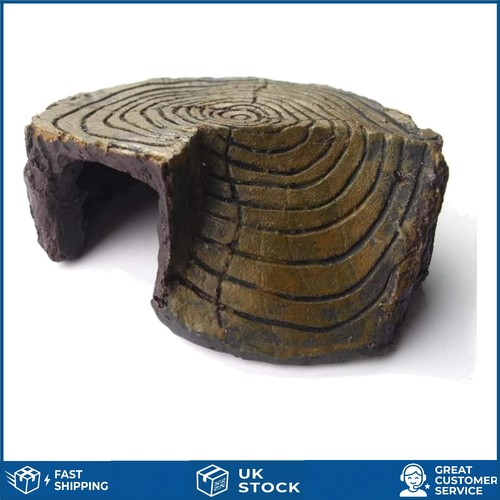 Natural resin turtle basking - natural,