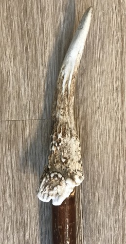 Stag horn hazel walking stick - walking,