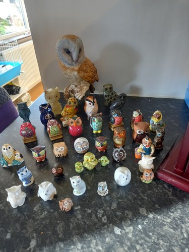 Ceramic owls display - 33,